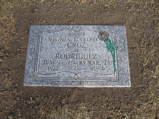 Flat Granite Grasser